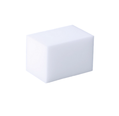 ÉPONGE LIGNE D'EAU BAYROL